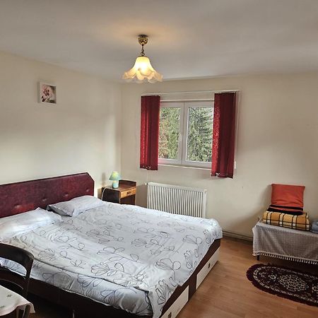 סינאיה Apartament Retro-Relax מראה חיצוני תמונה